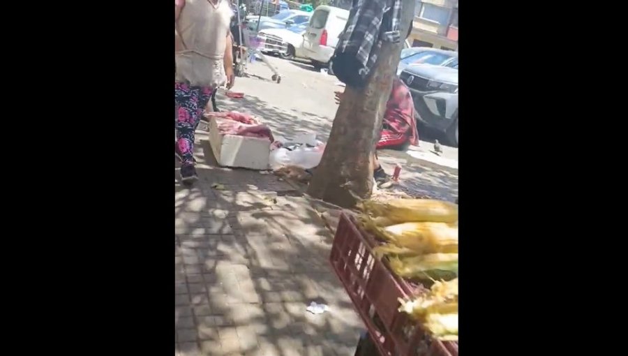 Captan a hombre vendiendo conejos faenados en plena vía pública del plan de Valparaíso