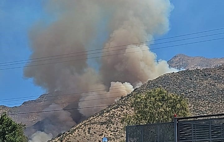 Incendio forestal con “alta intensidad y rápido avance” se registra en Rinconada: 25 hectáreas consumidas