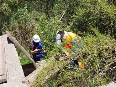 DGA cursa multa de $127 millones a empresario agrícola de Hijuelas: extraía agua subterránea sin autorización