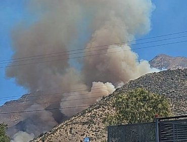 Incendio forestal con “alta intensidad y rápido avance” se registra en Rinconada: 25 hectáreas consumidas