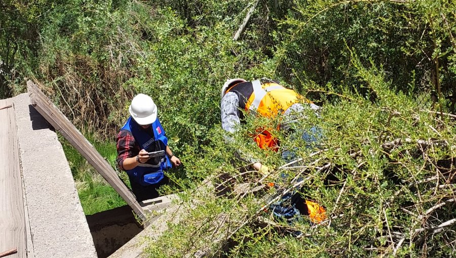 DGA cursa multa de $127 millones a empresario agrícola de Hijuelas: extraía agua subterránea sin autorización