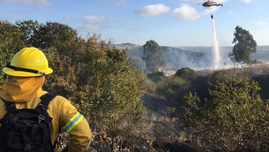 Con recursos aéreos y patrullajes de brigadas terrestres, Conaf actuará ante posibles emergencias forestales en Lo Vásquez