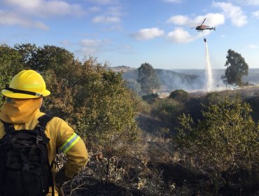 Con recursos aéreos y patrullajes de brigadas terrestres, Conaf actuará ante posibles emergencias forestales en Lo Vásquez