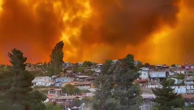 Mediante alerta SAE, Senapred solicita evacuar Limachito: Incendio forestal ha consumido más de 20 casas