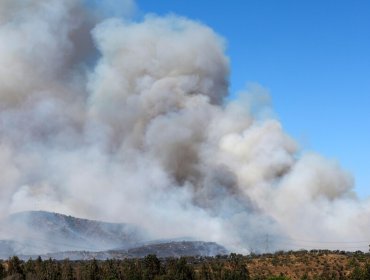 Declaran Alerta Roja para Santo Domingo por incendio forestal en Cruce La Manga