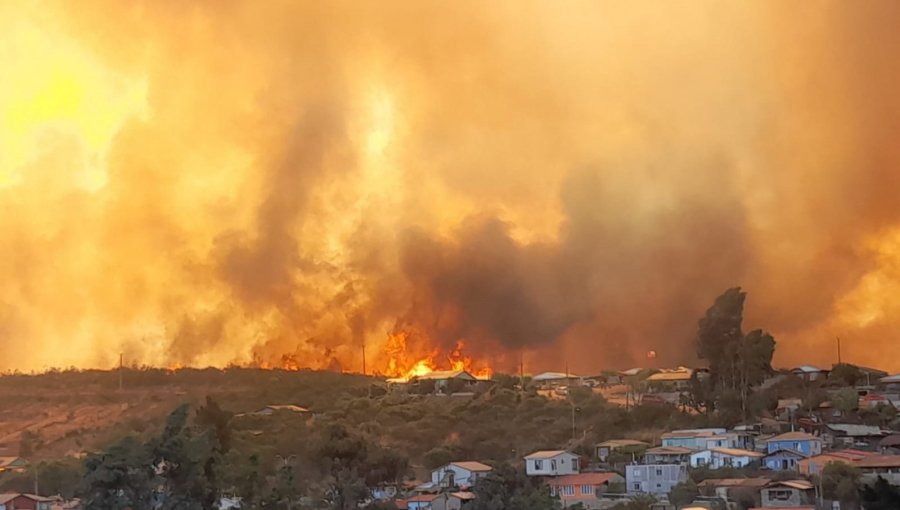 Lo que sabe del incendio de Limache: 300 hectáreas consumidas y al menos 20 casas afectadas