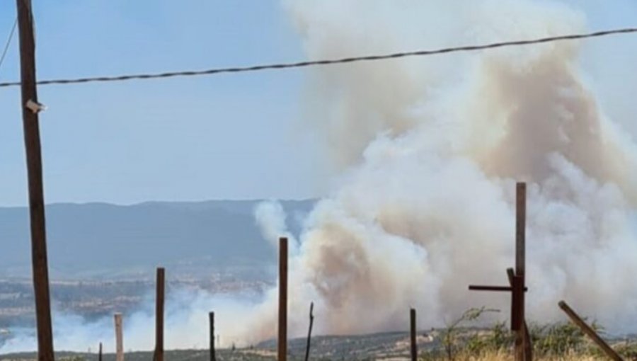 Amplían alerta roja para toda la provincia de Marga Marga: Incendio forestal consume más de 30 hectáreas en Villa Alemana