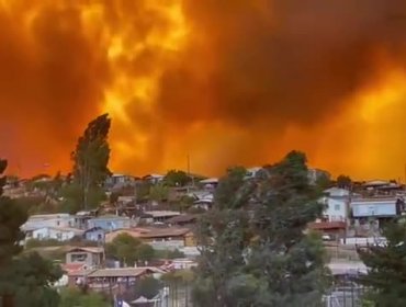 Mediante alerta SAE, Senapred solicita evacuar Limachito: Incendio forestal ha consumido más de 20 casas