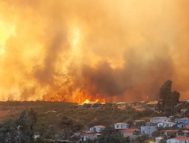 Lo que sabe del incendio de Limache: 300 hectáreas consumidas y al menos 20 casas afectadas