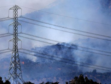 Alerta Roja ahora en Valparaíso: Incendio forestal amenaza área protegida del Lago Peñuelas