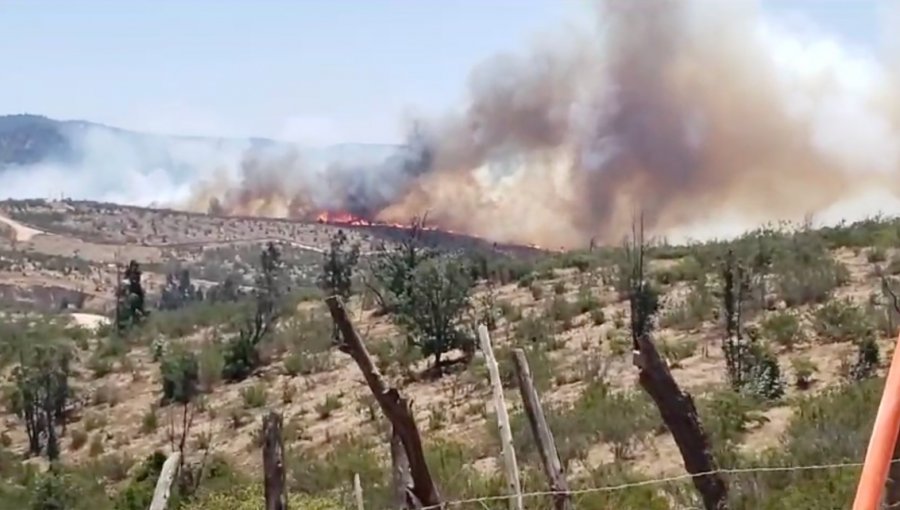 Incendio forestal consume más de cinco hectáreas en Limache