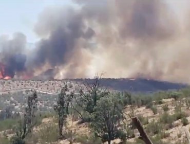 Decretan Alerta Roja en Limache por incendio forestal que lleva más de 50 hectáreas consumidas