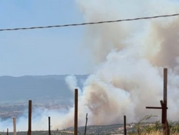 Amplían alerta roja para toda la provincia de Marga Marga: Incendio forestal consume más de 30 hectáreas en Villa Alemana