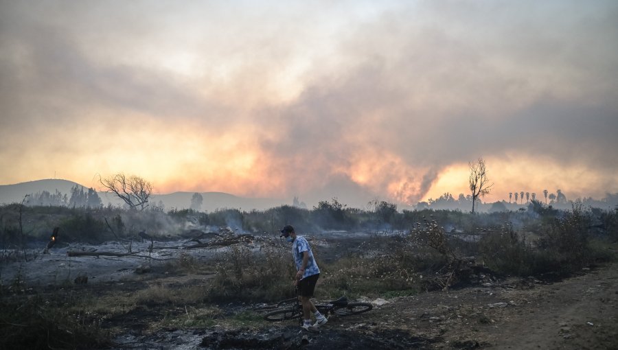 En prisión preventiva quedó sujeto imputado por causar incendio en Villa Alemana