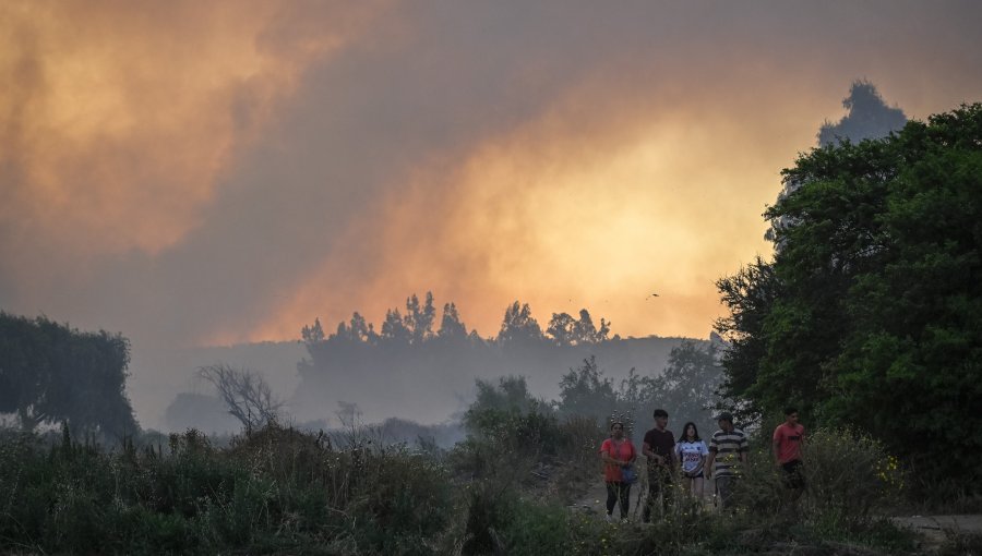 Más de mil hectáreas quemadas por incendios en Limache, Villa Alemana, Santo Domingo y Valparaíso