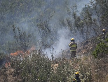 Equipos de emergencia continúan combatiendo incendio forestal entre Limache y Villa Alemana: ha consumido 820 hectáreas