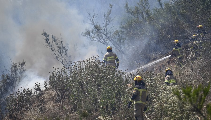 Gobierno anuncia querella contra responsables de iniciar incendio forestal en Villa Alemana
