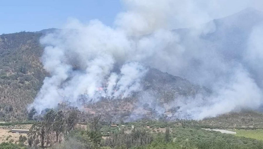 Bomberos y personal de Conaf combaten incendio forestal en sector Lliu Lliu de Limache