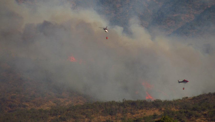 Incendio forestal con "alta intensidad y rápida propagación" afecta al sector de Fundo El Rincón en Villa Alemana