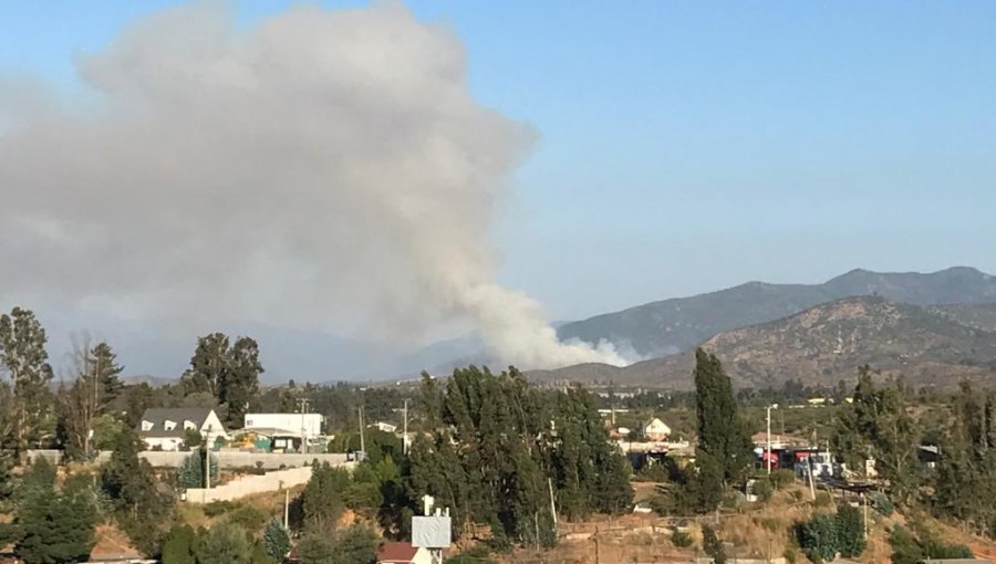 Incendio forestal en Villa Alemana mantiene "alta intensidad y rápida propagación": 12 hectáreas consumidas