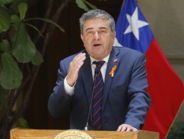 Presidente del Senado: "Si gana el En Contra tampoco está tan clara la victoria del Gobierno"