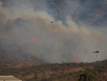 Incendio forestal con "alta intensidad y rápida propagación" afecta al sector de Fundo El Rincón en Villa Alemana