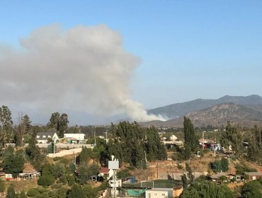 Incendio forestal en Villa Alemana mantiene "alta intensidad y rápida propagación": 12 hectáreas consumidas