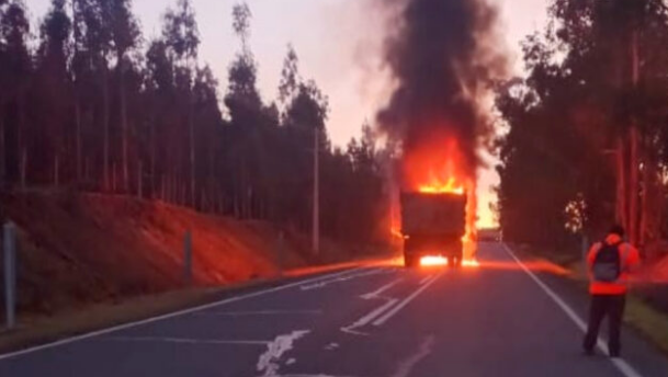 Al menos cuatro camiones fueron incendiados al interior de fundo en Contulmo