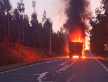 Al menos cuatro camiones fueron incendiados al interior de fundo en Contulmo