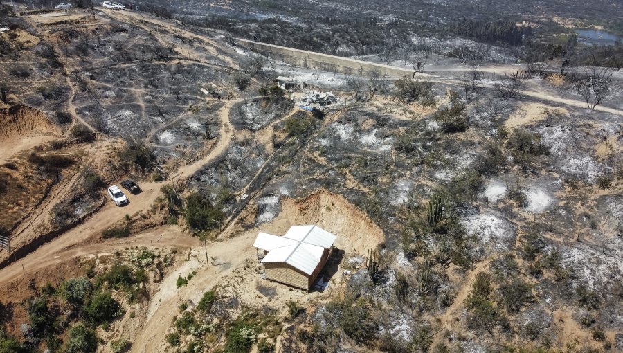 Incendios forestales en Villa Alemana y Limache: uno en combate, tres controlados, 1.250 hectáreas consumidas y Alerta Roja