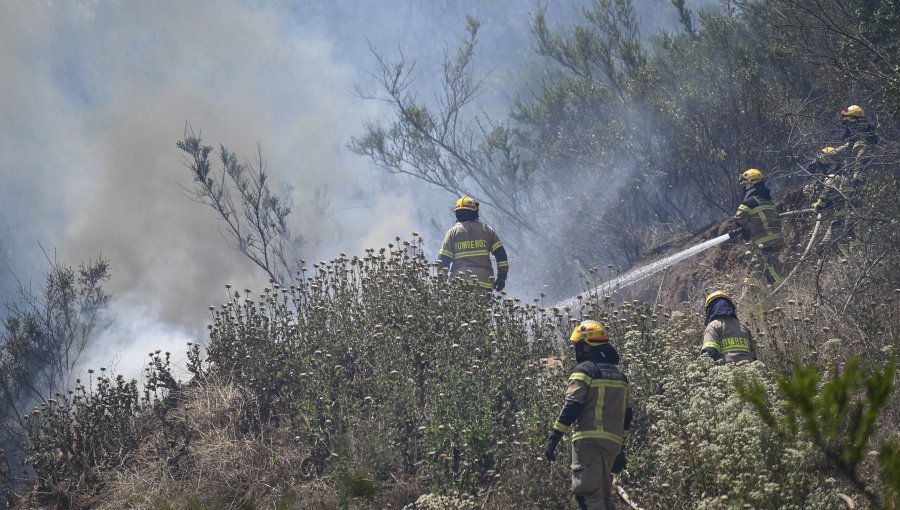 Controlan incendios forestales que consumieron más de 340 hectáreas en Limache: decretan Alerta Amarilla para la comuna