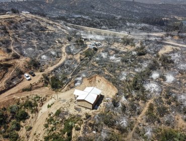 Incendios forestales en Villa Alemana y Limache: uno en combate, tres controlados, 1.250 hectáreas consumidas y Alerta Roja