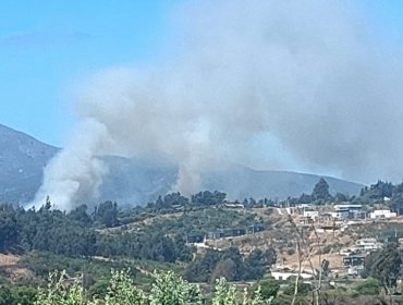 Declaran Alerta Roja para Quintero por incendio forestal cercano a sectores habitados: 3 hectáreas han sido consumidas