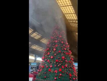 Árbol de Navidad fue incendiado tras desalojo de comerciantes ambulantes en Estación Central: cuatro detenidos