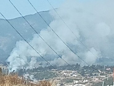 Controlan el incendio forestal que consumió 3,37 hectáreas en Quintero: cancelan la Alerta Roja y declaran Alerta Amarilla