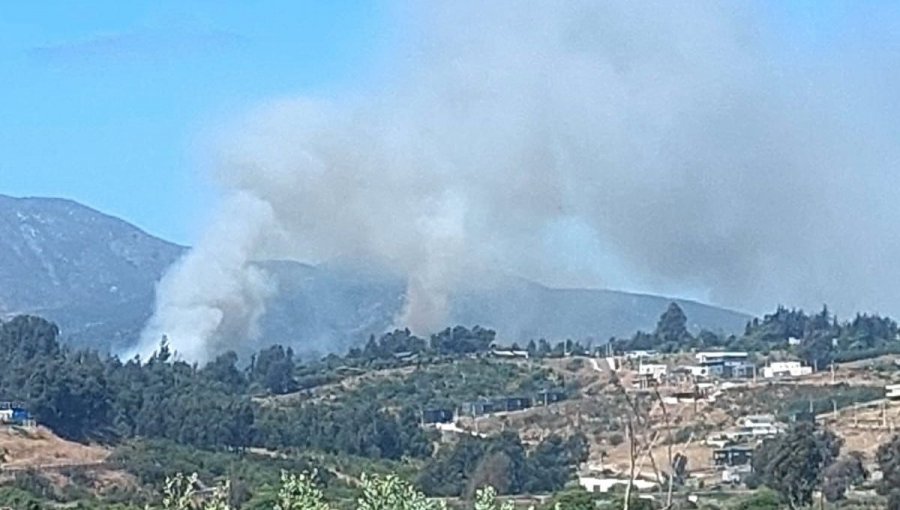 Declaran Alerta Roja para Quintero por incendio forestal cercano a sectores habitados: 3 hectáreas han sido consumidas