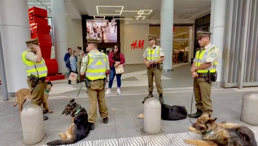 Delincuencia desatada en el perímetro del «Mall del delito» de Viña del Mar: sólo en las últimas dos semanas hubo 34 detenciones