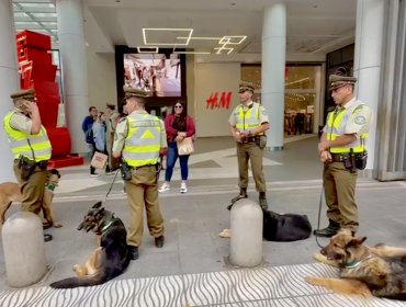 Delincuencia desatada en el perímetro del «Mall del delito» de Viña del Mar: sólo en las últimas dos semanas hubo 34 detenciones