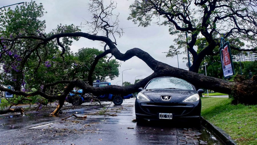 «Estado de Emergencia» en Buenos Aires: fuerte temporal ha dejado 16 muertos y a más de 150 mil casas sin energía eléctrica