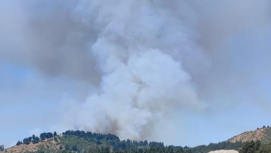 Declaran Alerta Roja para Viña del Mar y Concón por incendio forestal cercano a sectores poblados en Lajarilla