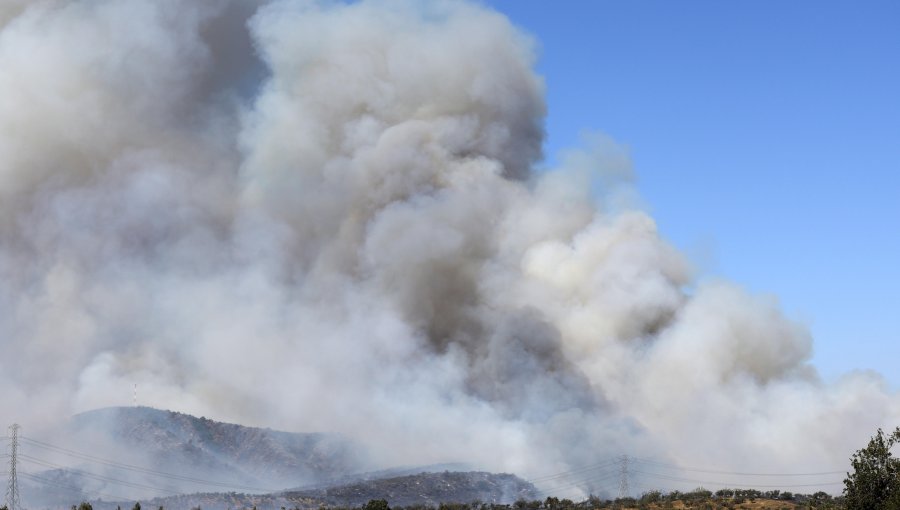 Incendio forestal "activo en todos sus sectores con intensidad alta" se registra en La Ligua