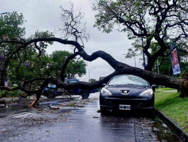 «Estado de Emergencia» en Buenos Aires: fuerte temporal ha dejado 16 muertos y a más de 150 mil casas sin energía eléctrica