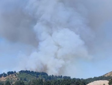 Declaran Alerta Roja para Viña del Mar y Concón por incendio forestal cercano a sectores poblados en Lajarilla