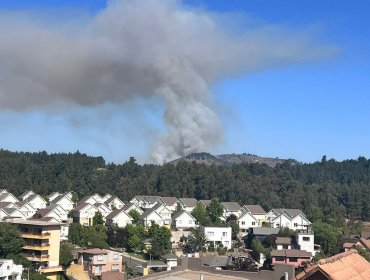 Incendio forestal con "alta intensidad y rápida propagación" afecta al sector Lajarilla de Viña del Mar