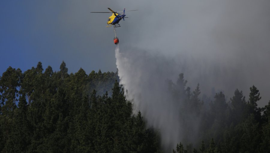 Controlan incendio forestal en Viña del Mar y Concón: cancelan la Alerta Roja y declaran Alerta Amarilla para las comunas