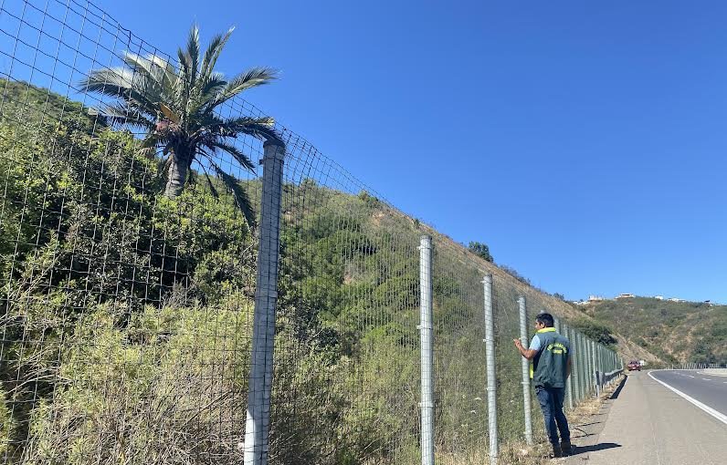 Detectan corta ilegal de 1,5 hectáreas de bosque nativo en asentamientos irregulares de Quilpué