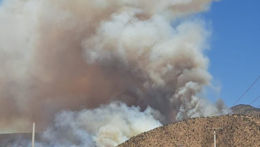 Declaran Alerta Roja para Curacaví por incendio forestal que presenta "comportamiento extremo"