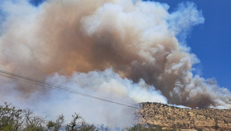 Alerta Roja para la comuna de San Bernardo por incendio forestal cercano a sectores habitados