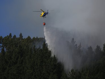 Controlan incendio forestal en Viña del Mar y Concón: cancelan la Alerta Roja y declaran Alerta Amarilla para las comunas