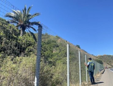 Detectan corta ilegal de 1,5 hectáreas de bosque nativo en asentamientos irregulares de Quilpué